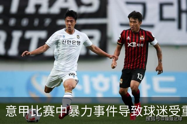 意甲比赛中暴力事件导致球迷受重伤，11名涉事者被禁赛5至10年